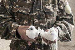 1_20201024_Artsakh_07412
