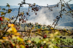 20201027_Artsakh_07621